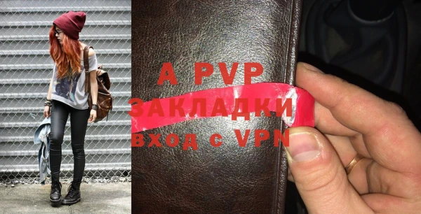 тгк Шали