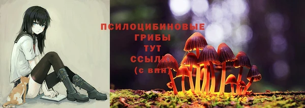 спиды Шадринск