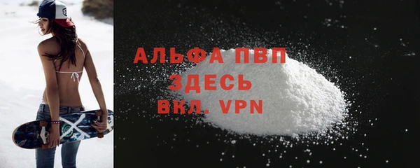 тгк Шали