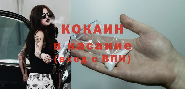 тгк Шали