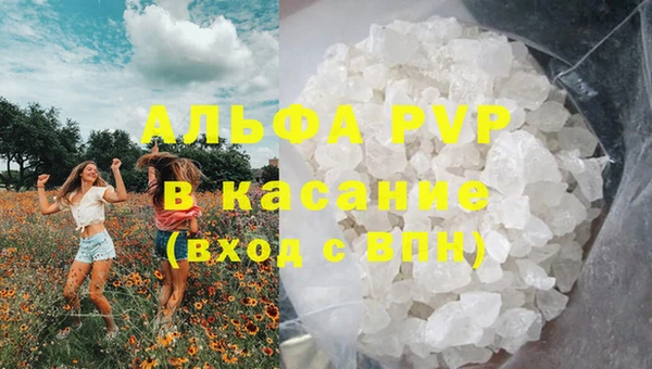 спиды Шадринск