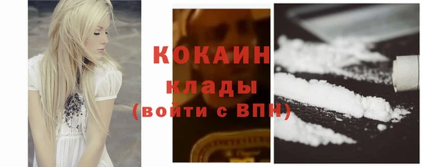 тгк Шали