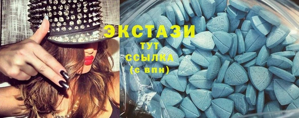 тгк Шали