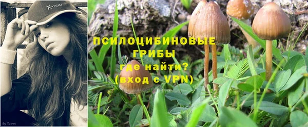спиды Шадринск