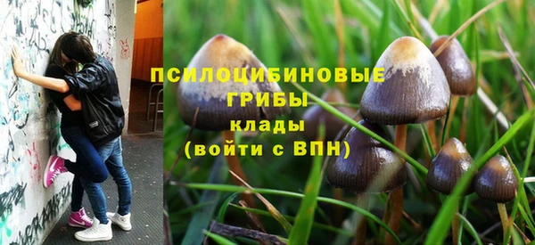 тгк Шали