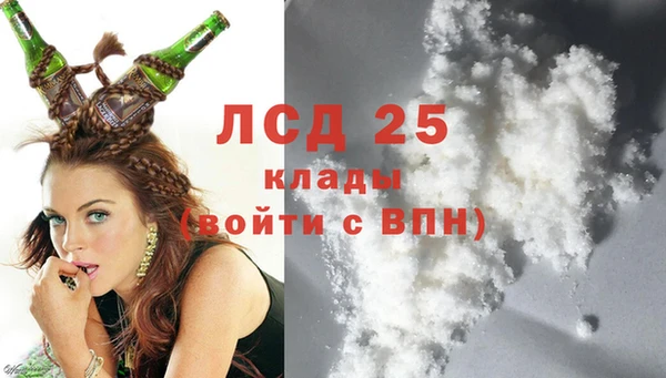тгк Шали