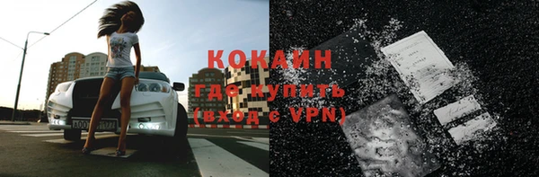 тгк Шали